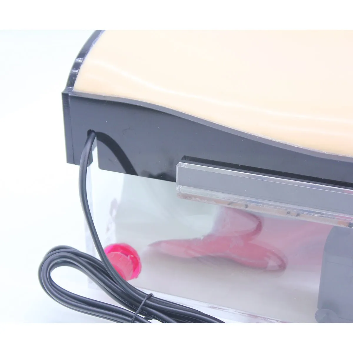 Spine Surgery Simulator For Surgical Training, Standard