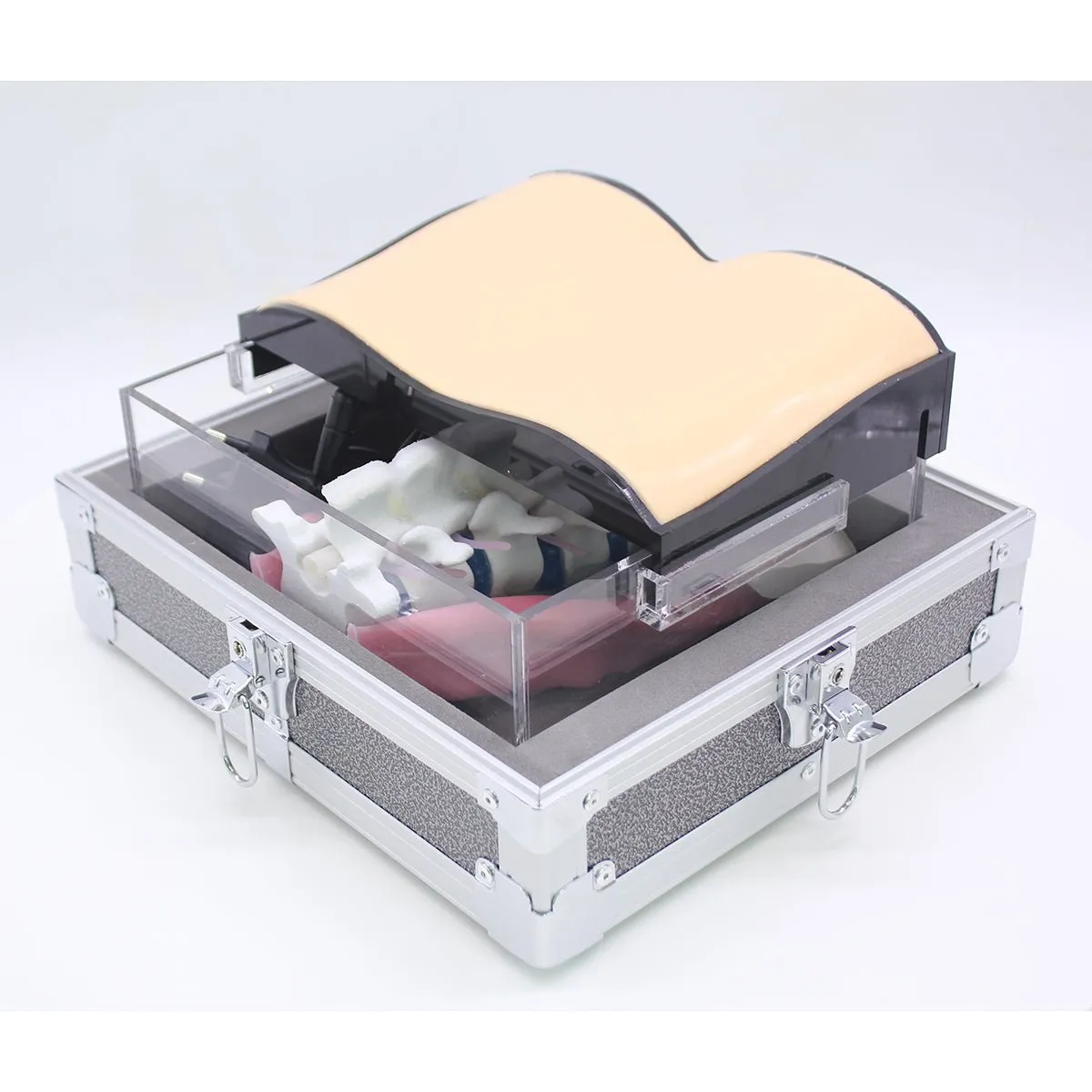 Spine Surgery Simulator For Surgical Training, Standard