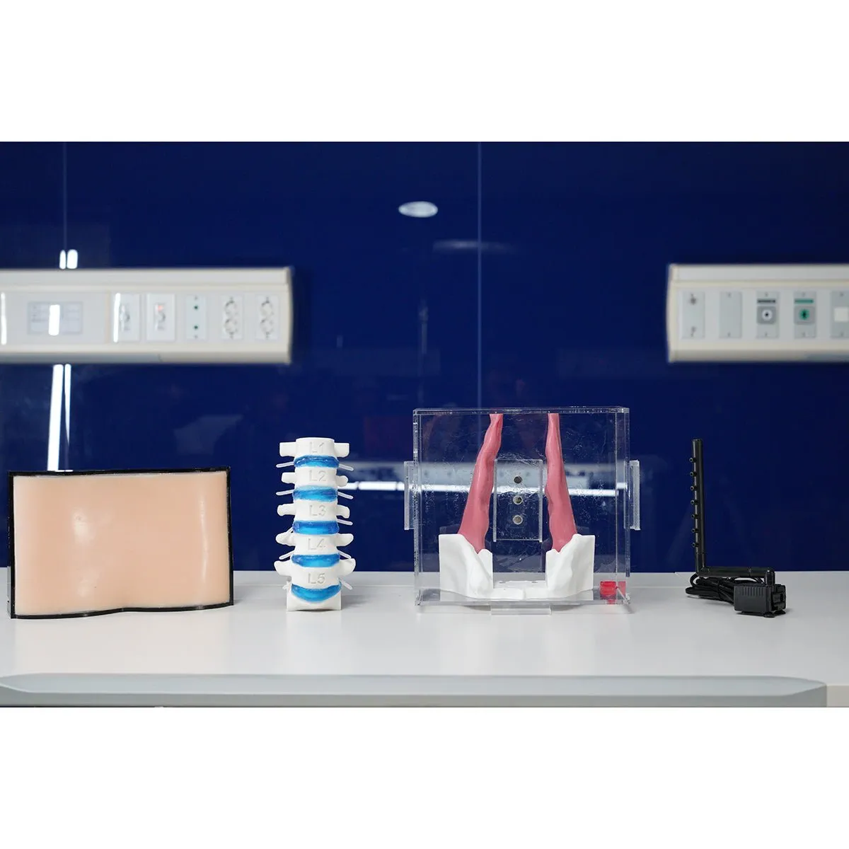 Spine Surgery Simulator For Surgical Training, Standard