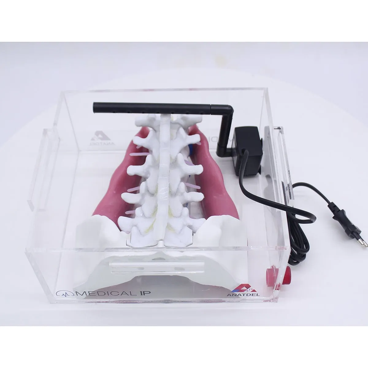 Spine Surgery Simulator For Surgical Training, Standard